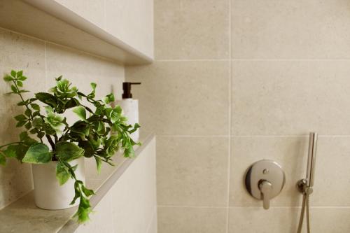 a plant sitting on a shelf in a bathroom at Casa Guilhermina in Lagoa