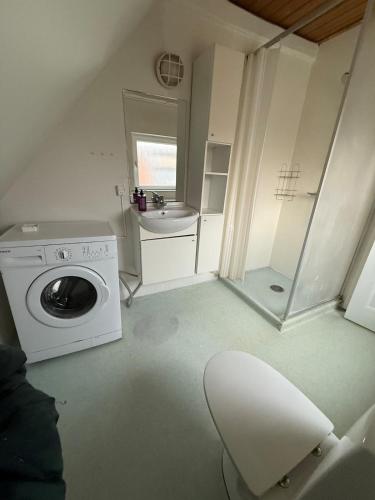 a laundry room with a washing machine and a sink at Folsted Ferie lejlighed nr 1 in Bindslev