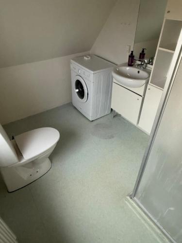 a bathroom with a washing machine and a sink at Folsted Ferie lejlighed nr 1 in Bindslev