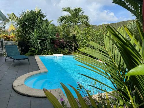 a swimming pool in the middle of a garden at Villa Kezia - Le Marin - Martinique in Le Marin