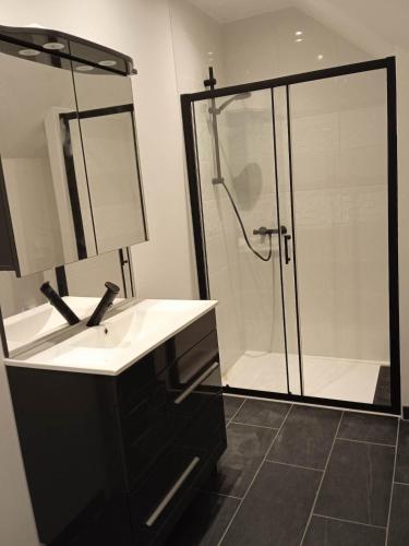 La salle de bains est pourvue d'une douche et d'un lavabo blanc. dans l'établissement Typical Berry house la Gagere, à Azy