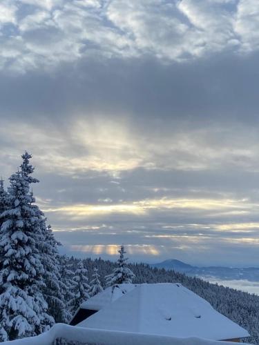 a view of a snow covered forest with trees at Kircher Hütte in Diex