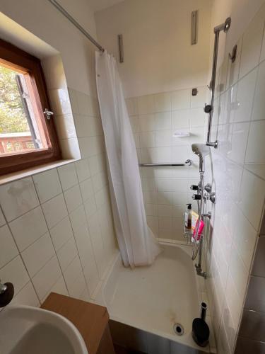 a bathroom with a shower and a sink at Kircher Hütte in Diex