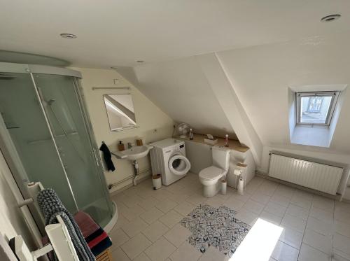 Łazienka z prysznicem, toaletą i umywalką w obiekcie Manoir de la Frazelière - Gîte au cœur des châteaux de la Loire w mieście Joué-lés-Tours