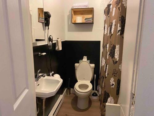 un piccolo bagno con un water e un lavandino di Logement Voyageurs Ou Travailleur 503 a La Tuque