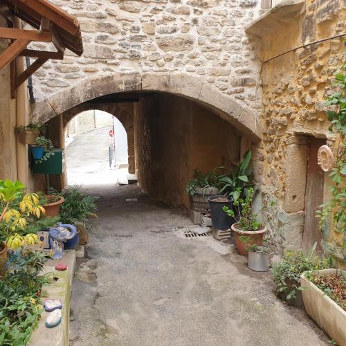 an alley with potted plants in a stone building at Gîte de la Tour Carrée in Taulignan