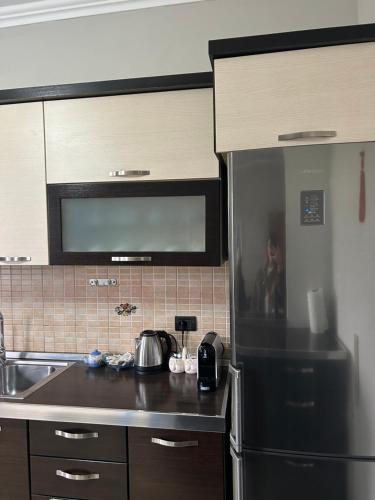 a kitchen with a black refrigerator and a sink at Villa Bordeaux in Rrashbull