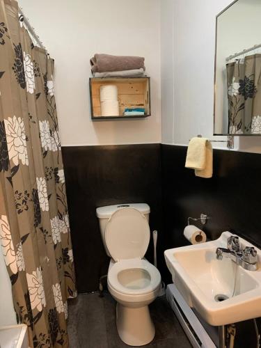 a bathroom with a toilet and a sink at Logement Voyageurs Ou Travailleur 501 in La Tuque