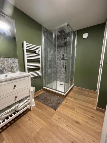 une salle de bain avec une douche avec des toilettes et un lavabo dans l'établissement Ô Nid d'Azay, à Azay-sur-Cher