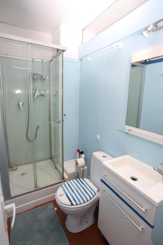 une salle de bain avec une douche, des toilettes et un lavabo dans l'établissement Magnifique vue mer Appart les pied dans l eau St Cyprien, à Saint-Cyprien