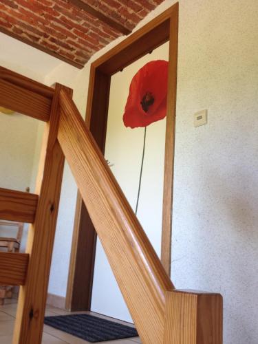 a mirror with a red poppy on the wall at Les Gîtes "Le Petit Val" in Durbuy
