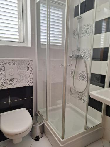 a bathroom with a shower with a toilet and a sink at Villa Tea in Murter