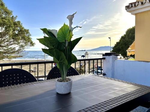 ANSA Beach Apartments - El Palo