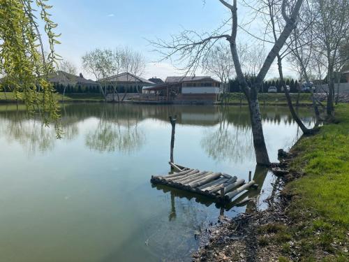 a dock sitting in the middle of a lake at MAX Apartmán pri jazere in Trstice