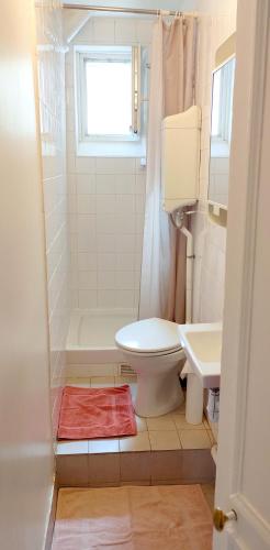 une salle de bain avec toilettes et lavabo dans l'établissement Potain - CI - Spacious and cosy duplex for 5 people, à Paris