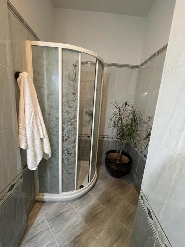 a shower with a glass door in a bathroom at La casa di Ada in Bene Vagienna