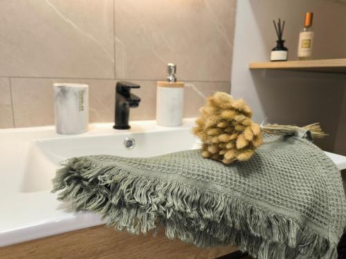 La salle de bains est pourvue d'un lavabo et d'un tapis à côté d'une baignoire. dans l'établissement Le petit fort, à Boulogne-sur-Mer