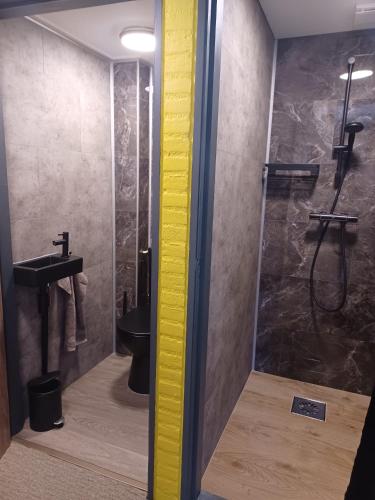 a bathroom with a shower and a toilet and a sink at Hotel Dichtbijzee in Oosterend
