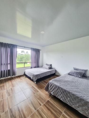 a bedroom with two beds and a large window at Tumbaga Hostal in Quimbaya