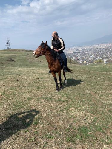 Άλλα ζώα σε αυτό το κάμπινγκ ή στη γύρω περιοχή