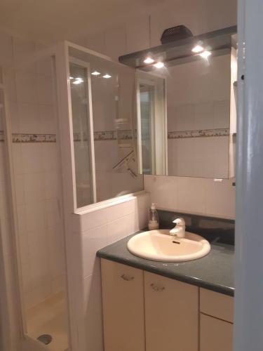une salle de bain avec un lavabo et un miroir dans l'établissement Appartement proche de la mer et à 2 min d' ETEL, à Erdeven