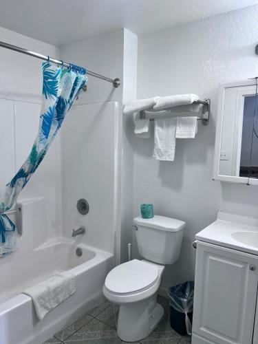 Ένα μπάνιο στο OYO Garden Inn and Suites Pearsall I-35 East