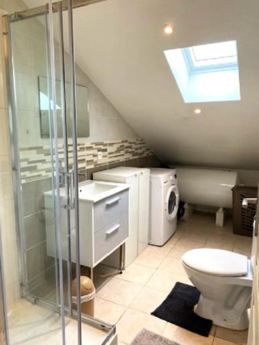 une salle de bain avec toilettes, lavabo et douche dans l'établissement Appartement sous les combles, à Rezé