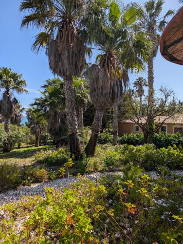 Quinta do Mar - Country & Sea Village