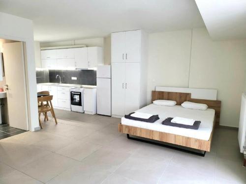 Η κουζίνα ή μικρή κουζίνα στο Elysee apartment 7