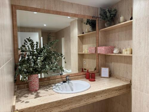 Urban Córdoba Suites