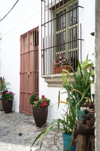 Κήπος έξω από το Central Hostel Pondicherry