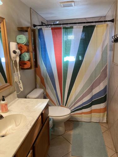 a bathroom with a colorful shower curtain and a toilet at Pepper Bungalow in Mesa