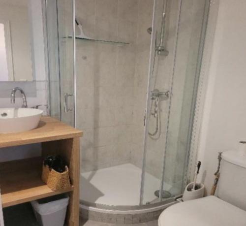 une salle de bain avec une douche, des toilettes et un lavabo dans l'établissement centre cannes musiciens, à Cannes