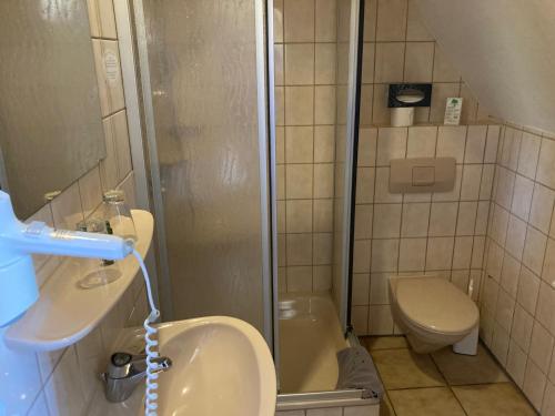 a bathroom with a shower and a sink and a toilet at Hotel Burg Bollendorf in Bollendorf