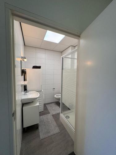 a bathroom with a toilet and a sink and a shower at 86 1 City Appartement in Enschede