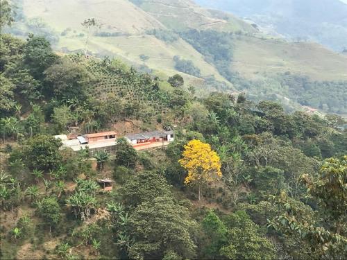 a train on top of a hill with trees at Cabaña el sol in Titiribí