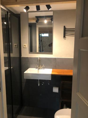 a bathroom with a sink and a mirror at Mijn Buitenhuis in Elspeet