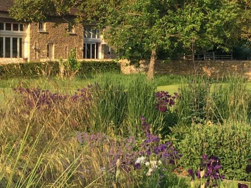 Κήπος έξω από το Luxury barn in Cotswolds with natural pool