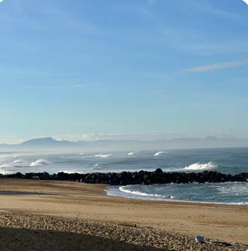- une plage avec vue sur l'océan dans l'établissement Appartement à 200 m de l'océan de Capbreton, à Capbreton