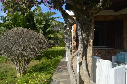 Κήπος έξω από το Casa Porto Taverna