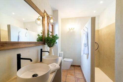 a bathroom with a sink and a mirror and a toilet at Casa Joan de Fontsagrada in Fontsagrada