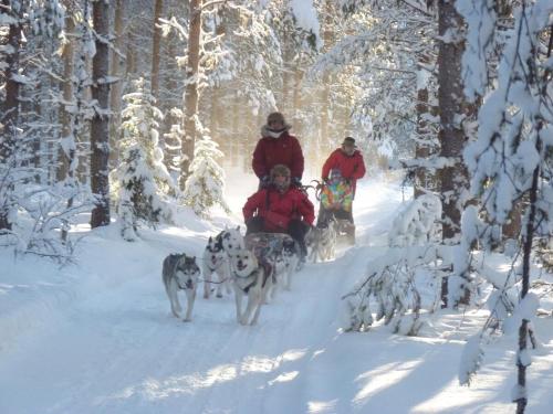 a group of three people and a dog in the snow at Chalet direkt am See in Lycksele