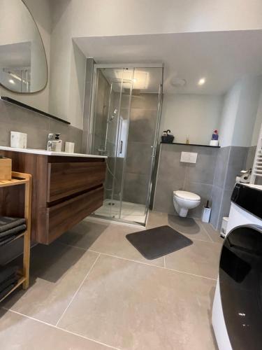 un bagno con doccia e WC di Midi Station a Bruxelles