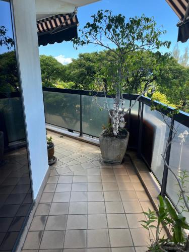 a balcony with a potted tree on it at Poerava Tahiti in Papeete