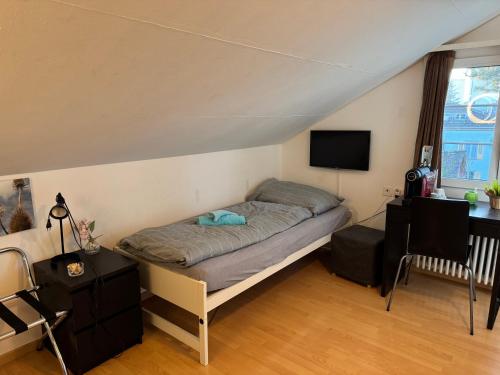 TV a/nebo společenská místnost v ubytování Altstadt Gästehaus