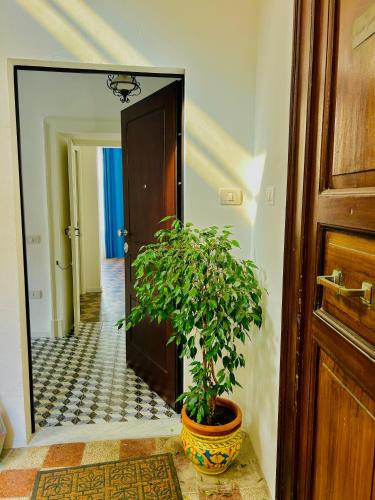 a hallway with a potted plant in front of a mirror at Sedile Dei Nobili Apartment in Tropea