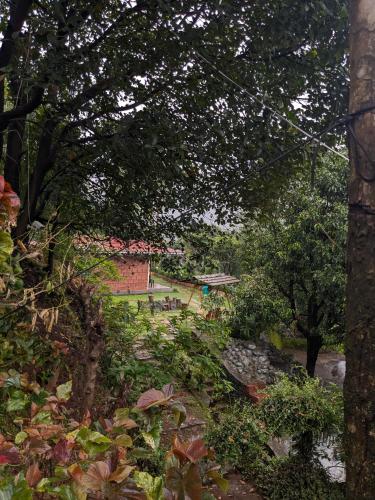 CharDara Agrotourism & FarmStayにある庭