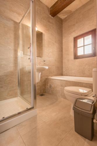 a bathroom with a shower and a toilet and a sink at Ta'Filomena in Xagħra