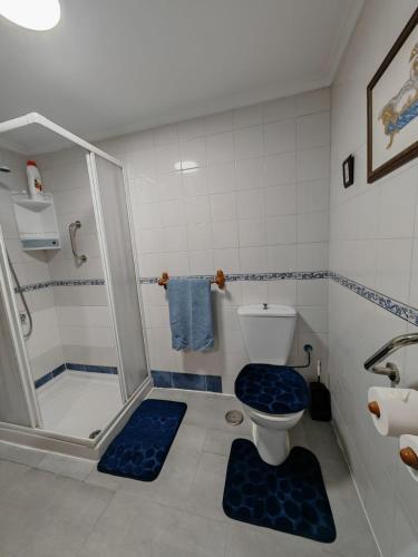 a bathroom with a shower and a toilet with blue mats at La casa del Rubio in Pedreña