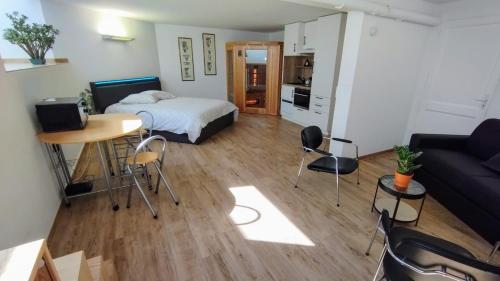 Studio 40 m2 avec sauna proche de Strasbourg